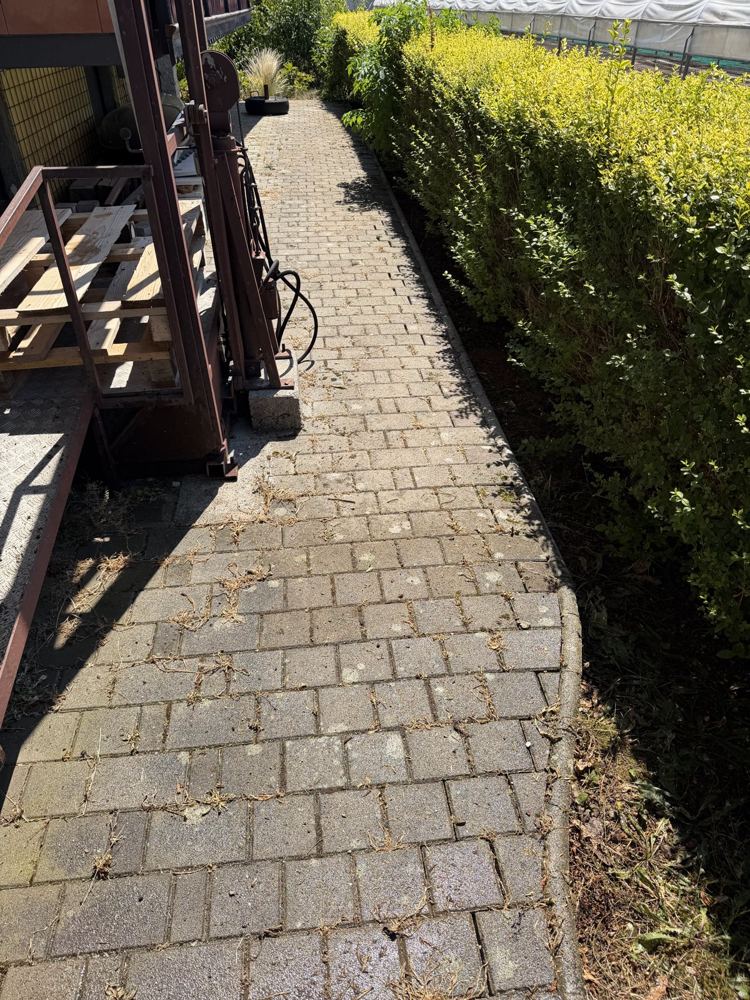 Tlakovana pot z zaraščenimi fugami pred čiščenjem